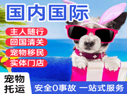 天津滨海机场托运国际宠物托运 【国